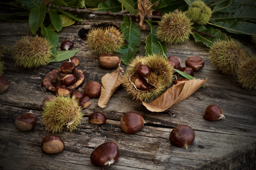 castañas