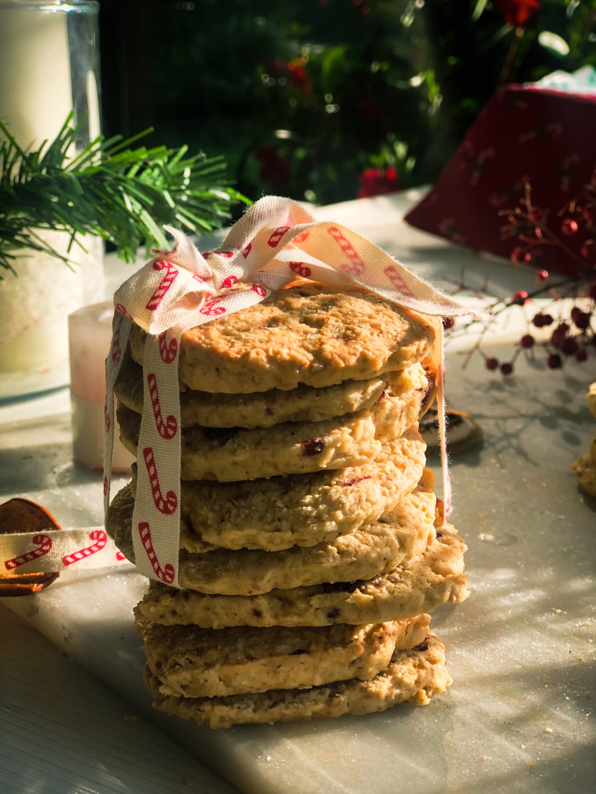 Galletas de arandanos