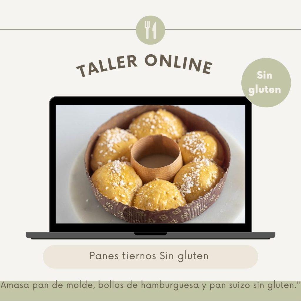 Pan de molde · Bollitos de hamburguesa · Pan suizo